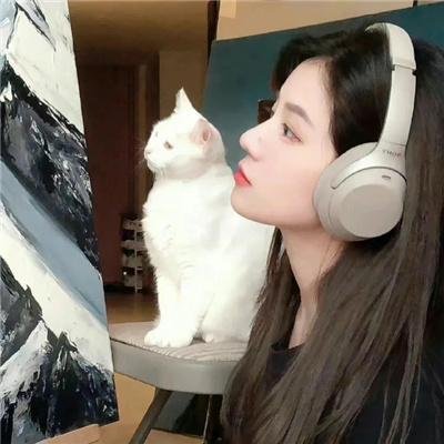 奇思妙探第二季